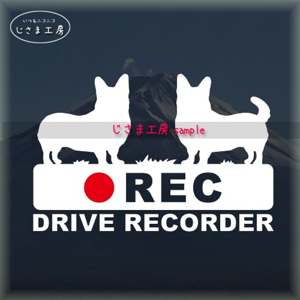 コーギー（尻尾なし＆尻尾あり）が2匹の白シルエットステッカー煽り運転防止!!『DRIVE　RECORDER』