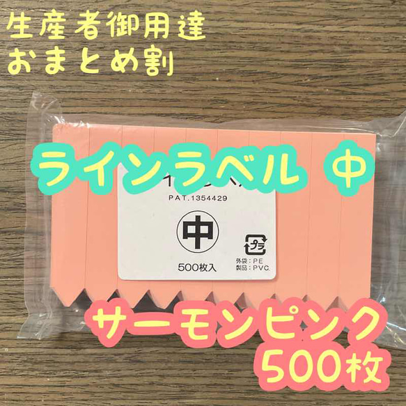 ラインラベル 中 サーモンピンク 500枚 園芸カラーラベル 多肉植物 エケベリア