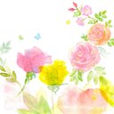 薔薇の絵葉書