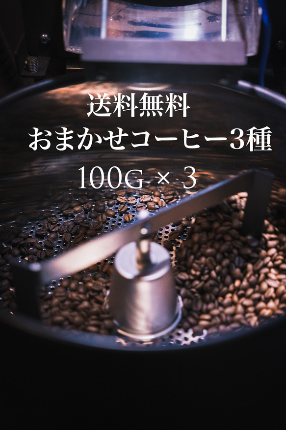 【送料無料】コーヒー豆 おまかせ3種 ×100g スペシャルティコーヒー