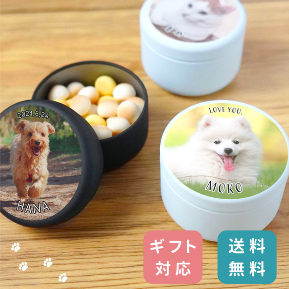 【名入れ無料】 ペット おやつ缶 写真入り 名入れ ケース 名前入り 箱 いぬ ねこ イヌ ネコ ネーム入り おやつ入れ